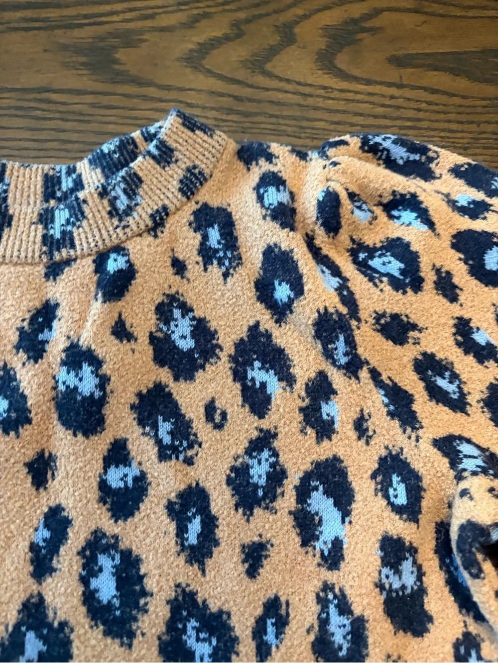 Leopard Print Sweater in Tan and Blue